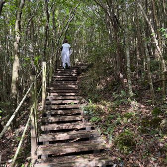 登山道は木道でクロックスでも全然余裕。