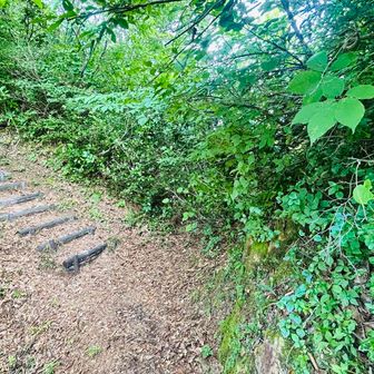毎回500年前の石垣と大堀切に感動するが、写真に撮ったら何が何だか分からない😥笑