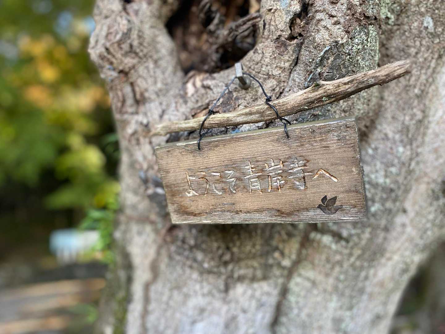 さて次は青岸寺へ