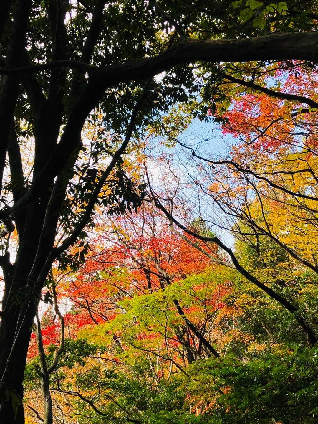 足が止まる