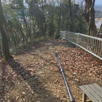 デジスタの目的を忘れ、満足モードで下山することに。1時間3分が経過。
今、後悔して日記を書いてます。😞