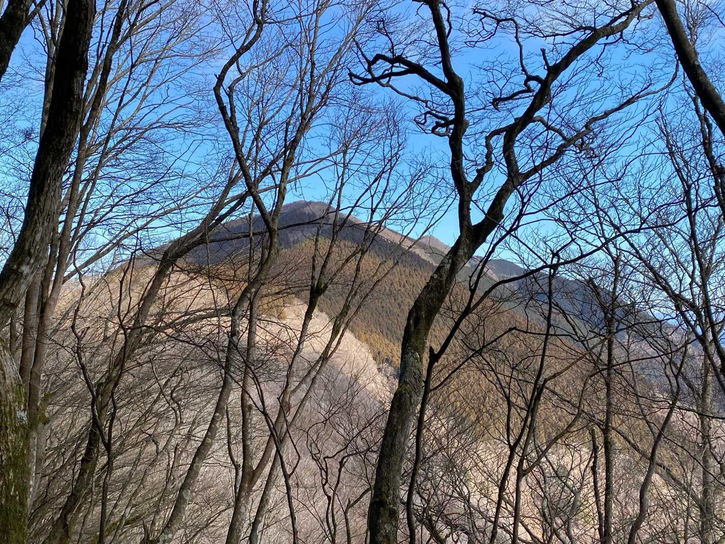 真富士山を目指します