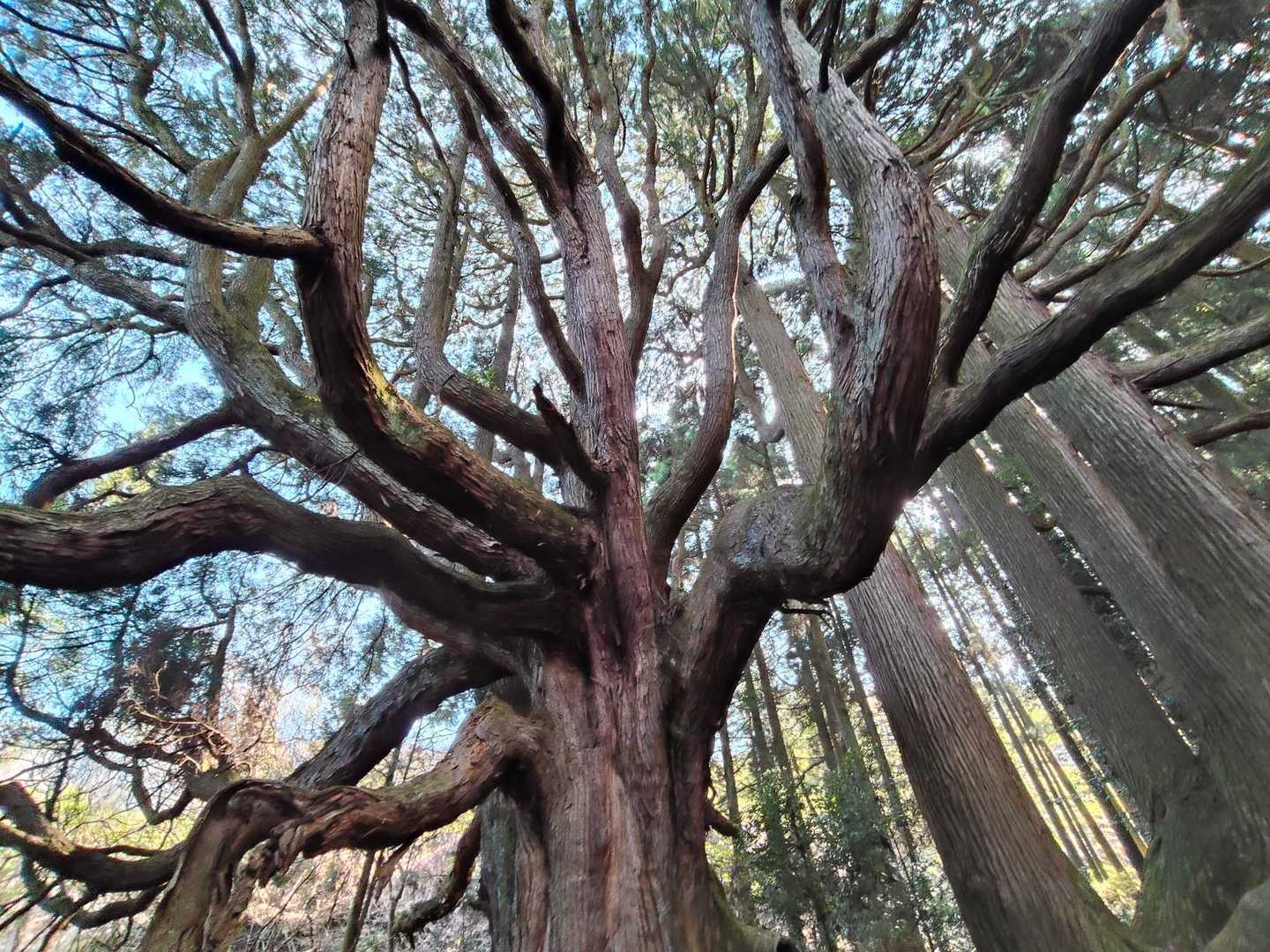 迫力