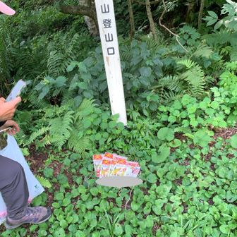 piroさんと俺は5枚のチラシ等の回収を終了しました🫡フィオちゃんと夢ではなく本当に無事に会えて良かったです🤗