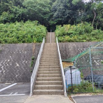 おっし階段！まかせろ！