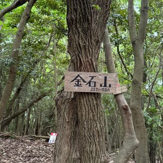 金石山標高点
山頂とは違うのかな？