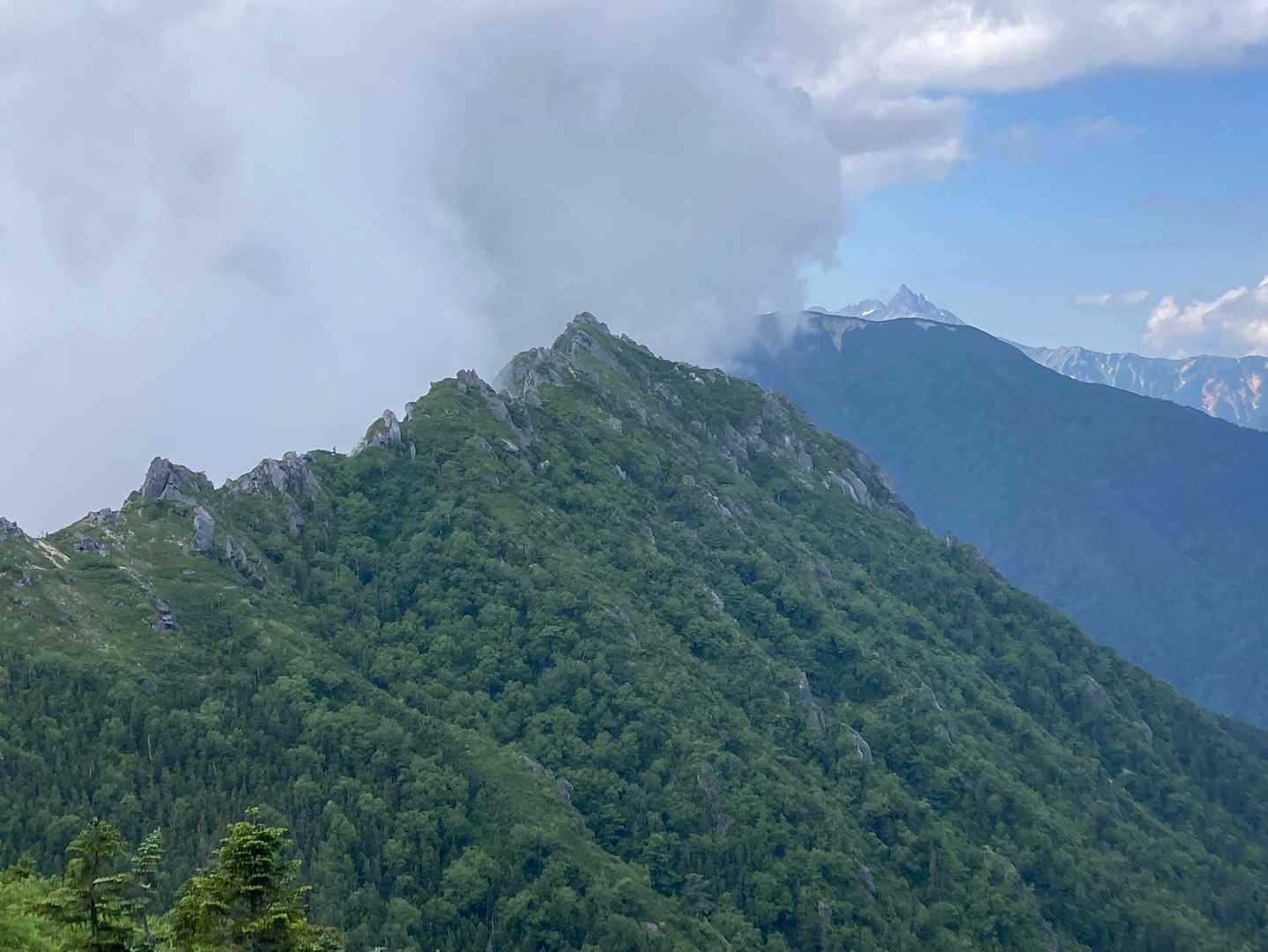 槍が見えた😆