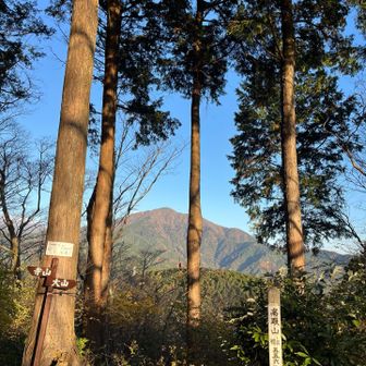 めざせ大山