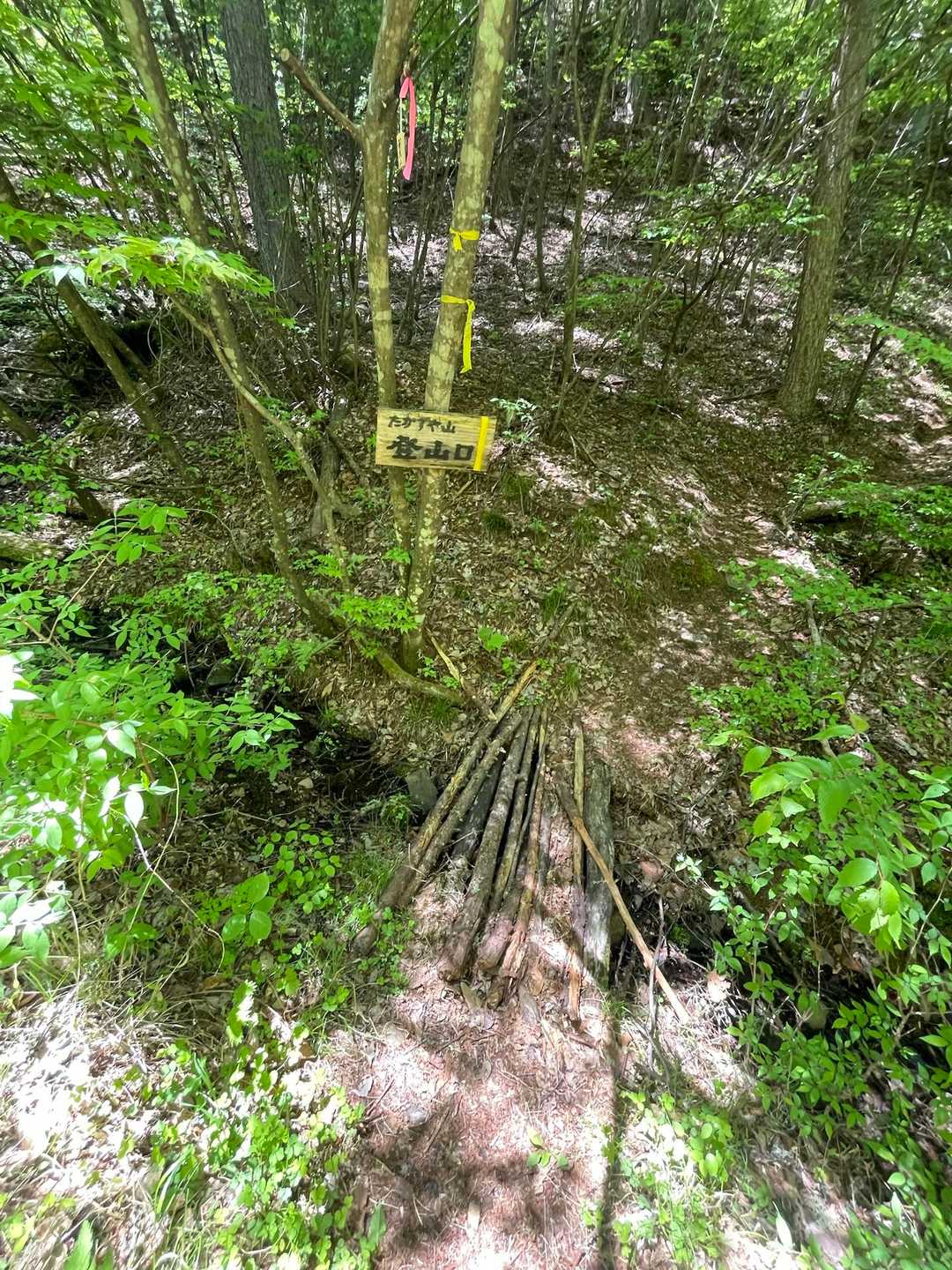 上り時はこの登山口がわからず林道に進んでしまいました‥ちょっと分かりづらいです‥