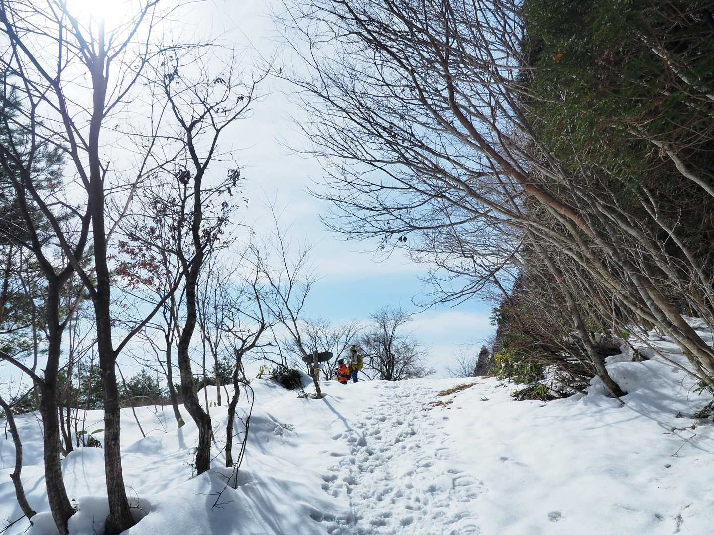 あ、山頂ついた
