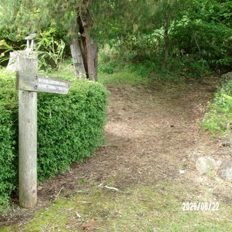 北口登山口
