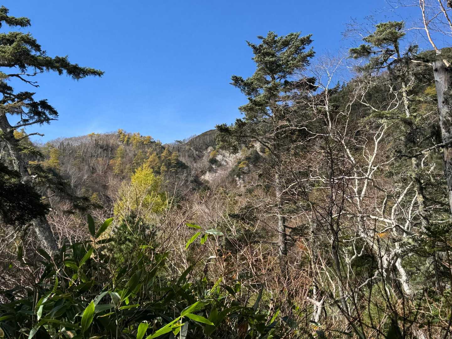 餓鬼へと繋がる尾根が見えてきて、
