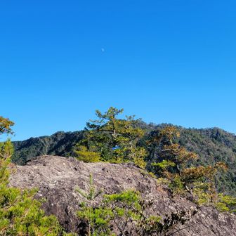 中の上臈　全容