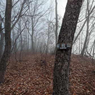 こちらもガスってる