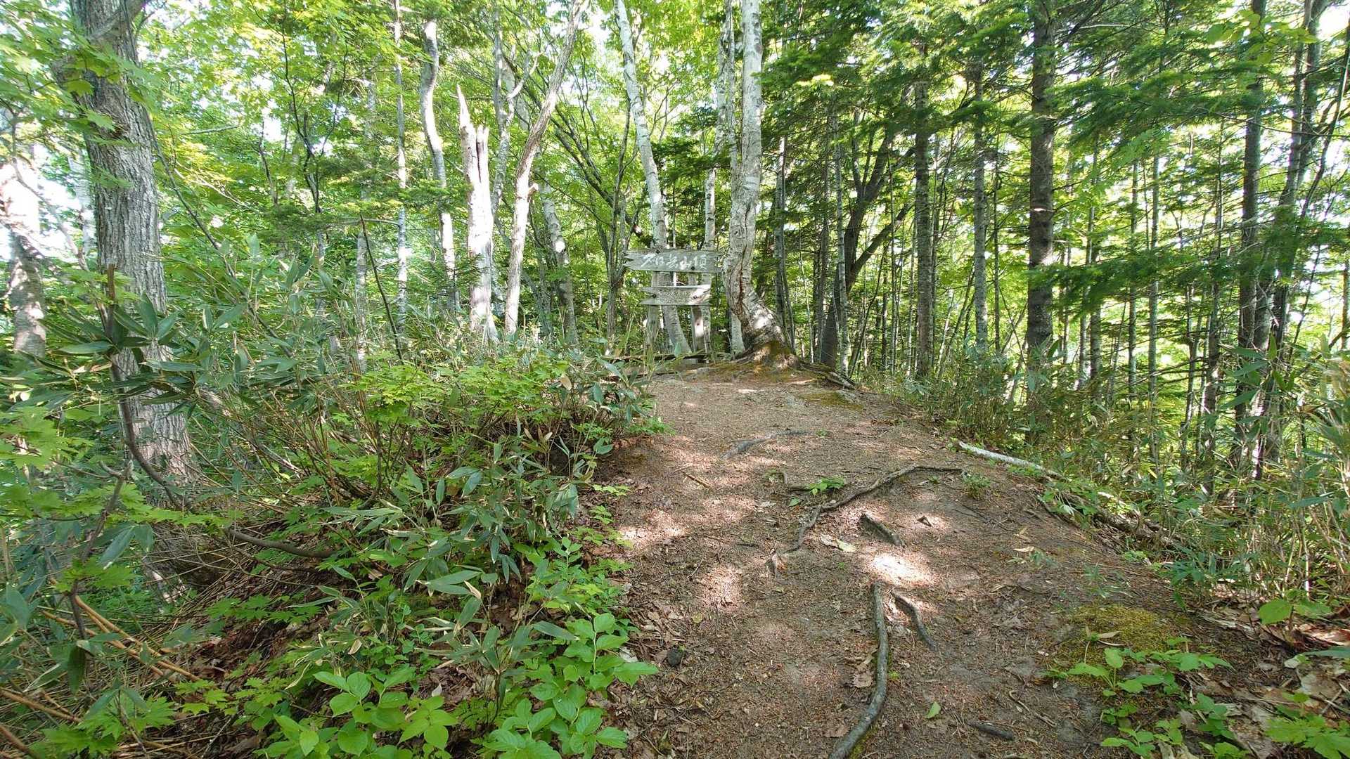 山頂はこんな感じ。看板撮り忘れた！