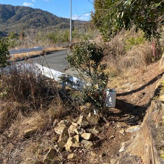 気持ち良く歩けた岩幕連山でした✨
お疲れ山〜⛰️