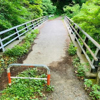 どんぐり橋