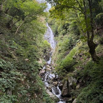 雨続きだったからか水量が多いのかな