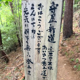こんな時間から登る人に挨拶してくれる人は…。と思ってたら1人だけすれ違いました。笑