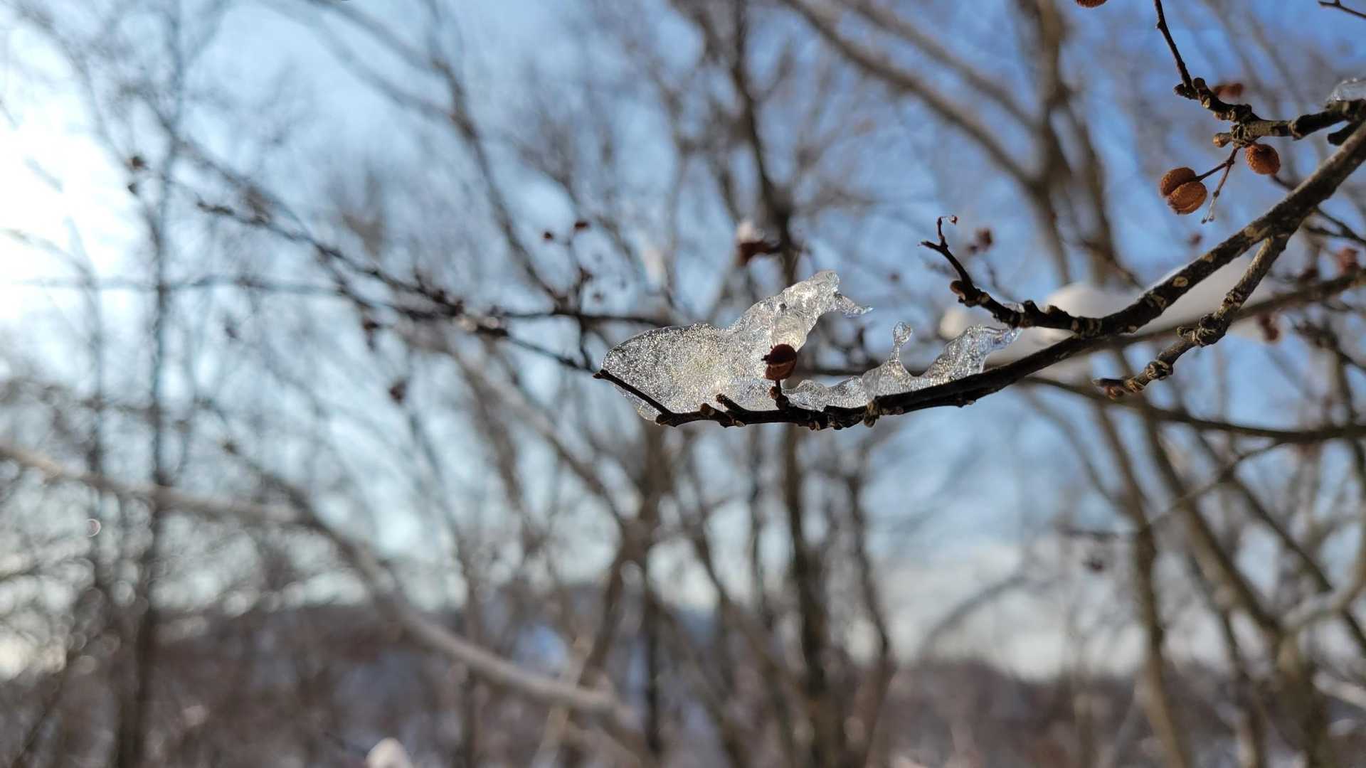 いちいち撮ります😍
