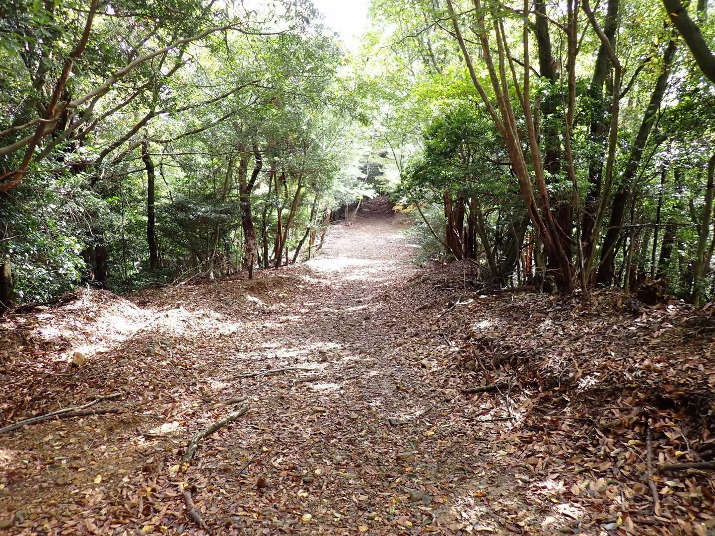 
周回で下山します