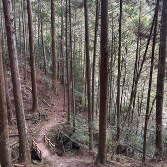 下山前に滝を愛でに行く💨