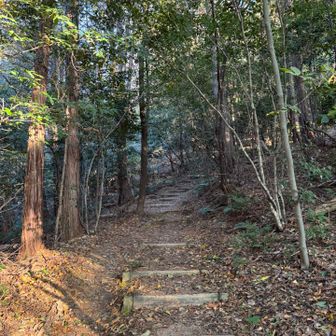 最後の畝傍山へ