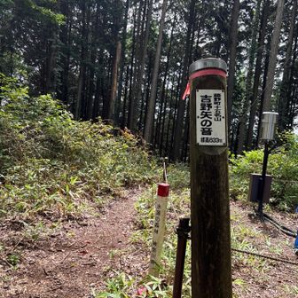 山頂からの下り、激下り😱距離は短いですが…