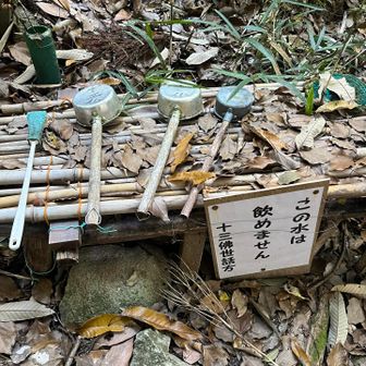 飲めないのかー