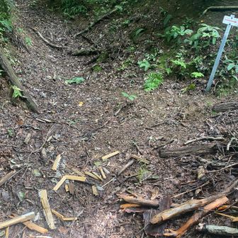 この分岐は左が登山道、右は巡視路。ここには左が奥医王を示す矢印案内板があったのですが、熊の仕業なのか粉々になっていました。

このため巡視路への矢印しか残っていないので注意してください。

実際初めて小原に入ったメンバーがここで道を間違えて彷徨う羽目になってしまいました。
