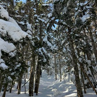 当日はやや風が強かったが、樹林帯も多く、また比較的気温も高かったため、山頂付近以外は快適な山行に。途中北横岳ヒュッテ付近が休憩スポットになっており、そこでエネルギーチャージ