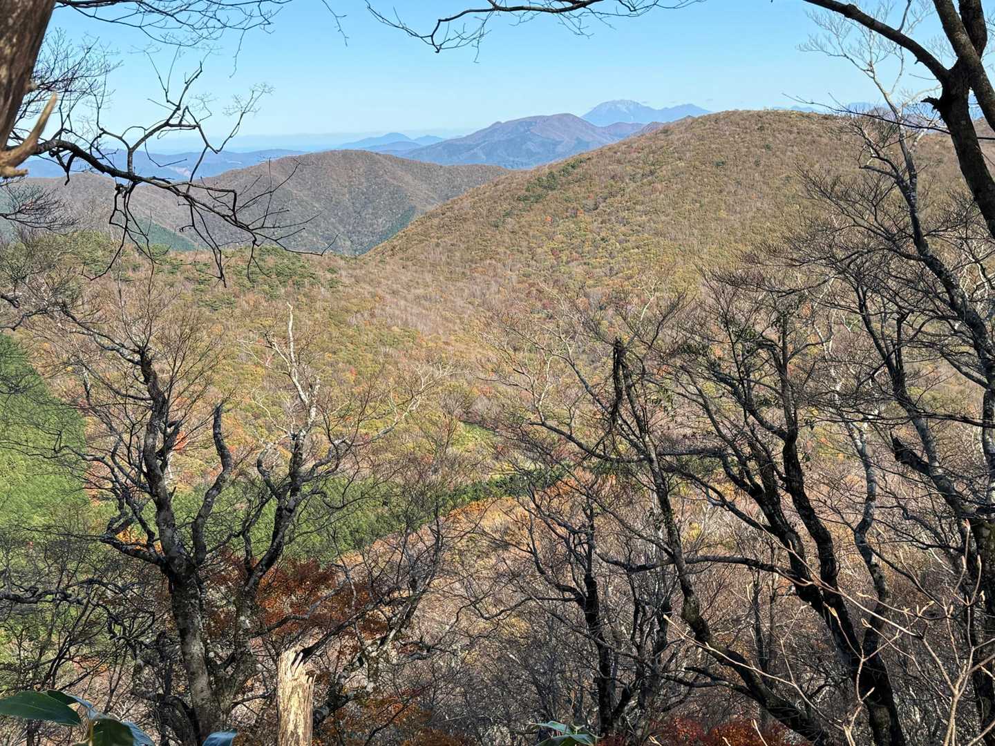 今日は大山見えてます‼️