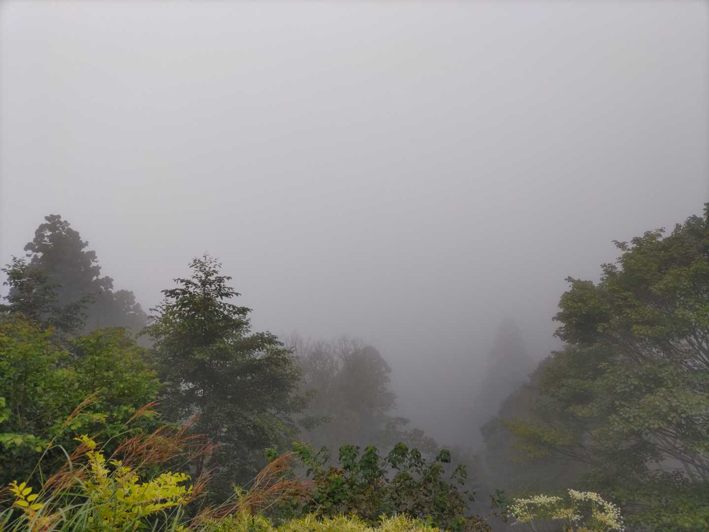ガスで何も見えません。
山頂はきっと☁️の中ですね。