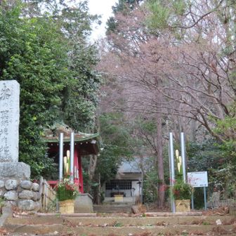 峰の薬師
風船のへそ❣️
ここを基点とし榎窪山から時計回りで南高尾山稜、高尾山薬王院、東高尾山稜を周回し南高尾セブンサミットを踏破、、