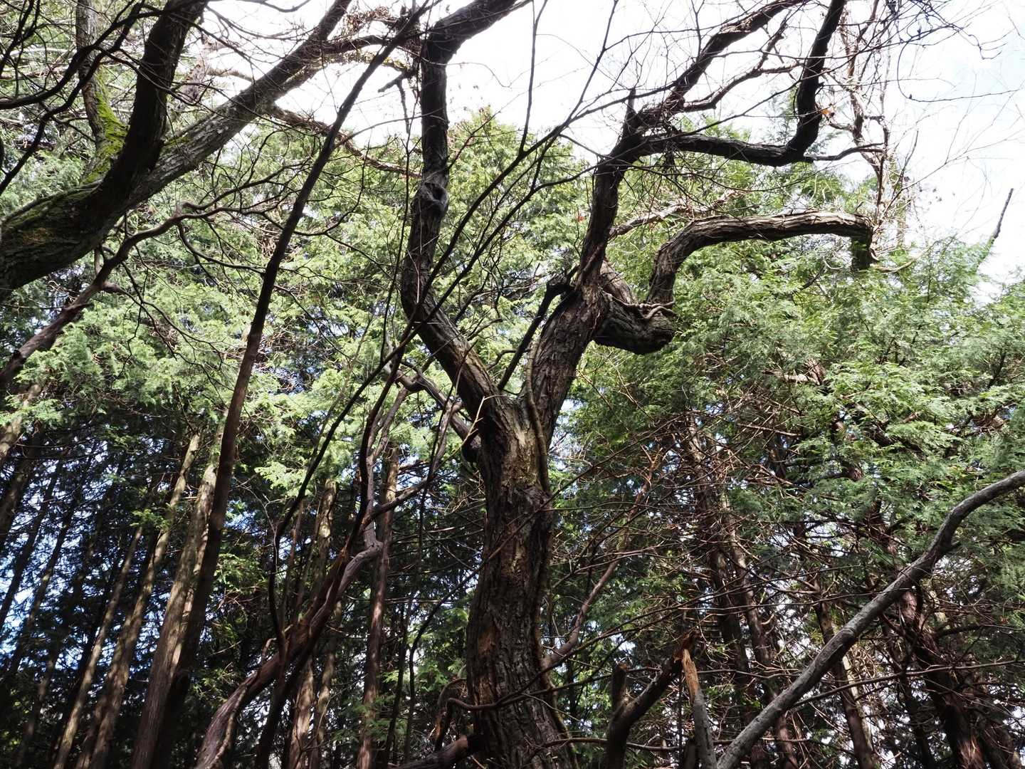 １年ぶり