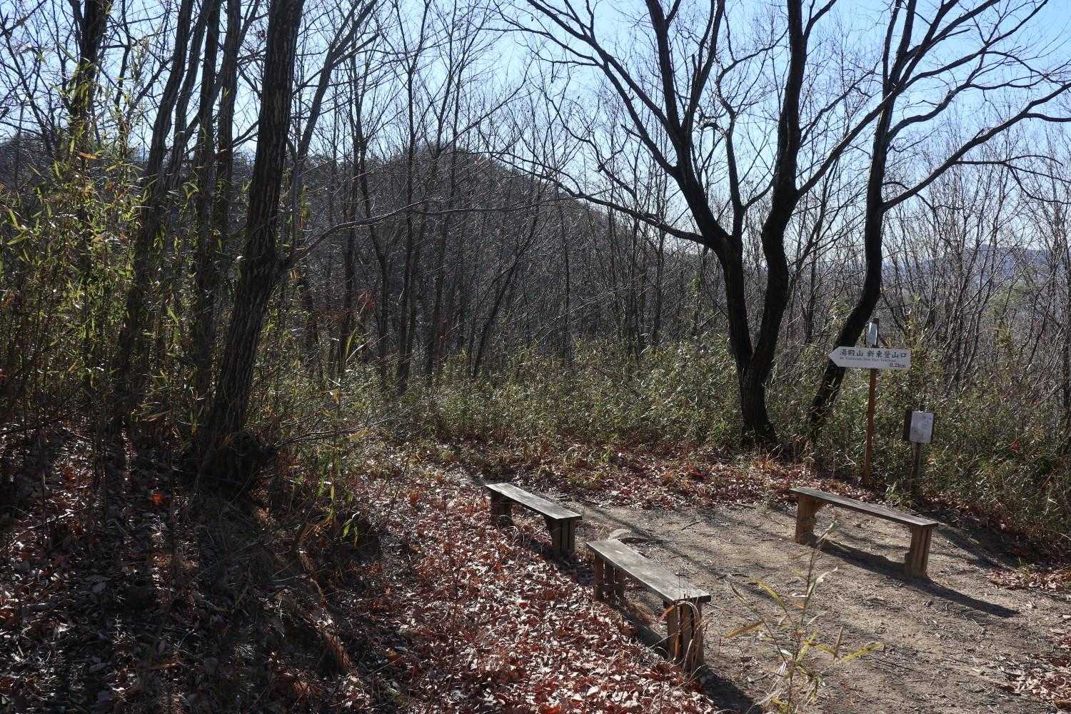 この付近でリスを見掛けました🐿️