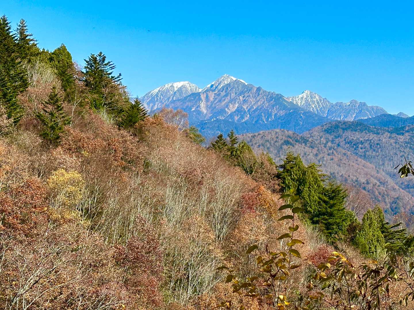 谷川コースからの景観もいいね～✨✨✨