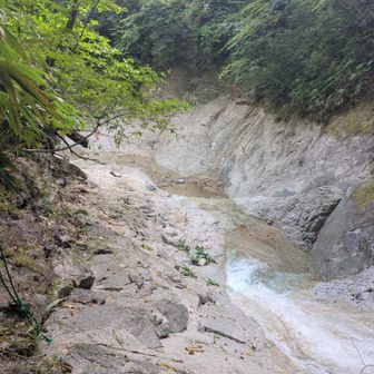 沢沿いの道に入っていきます
沢左側のピンクテープに向かって進む