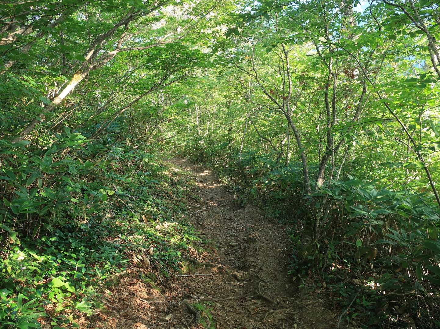 順調に下っております🙃。