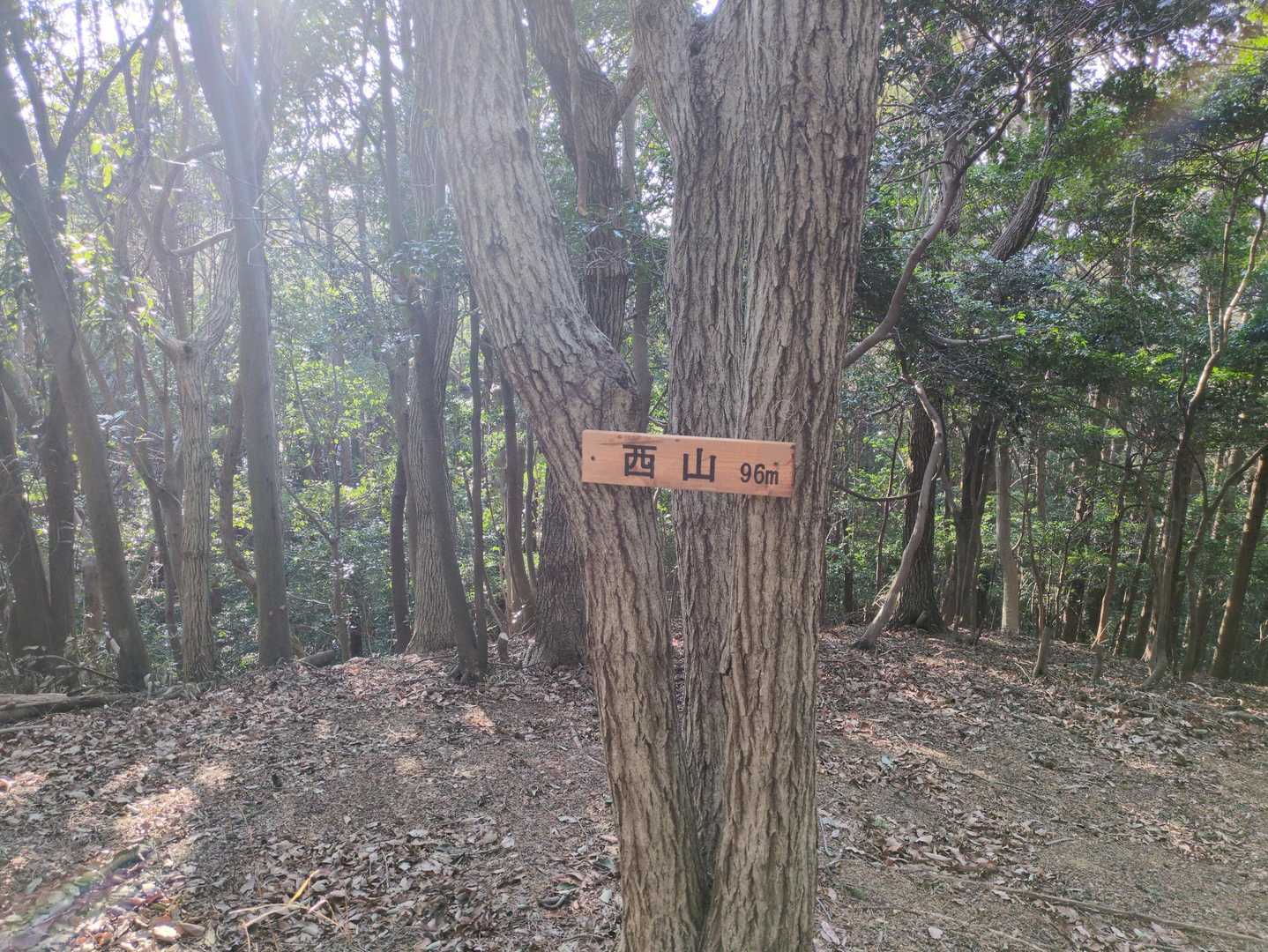 大谷橋登山口-大谷橋西登山口-西山 往復コースの写真