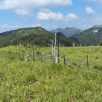 せっかくなのでパノラマで白髪山から三嶺まで