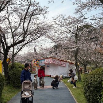 まだ、朝早くて出店は開いてなかったですね。