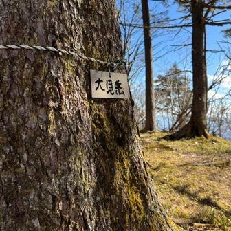 大見岳登頂、いよいよ毛無山へ