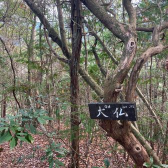 振り返ってみたら、こちらのプレートを発見。
これは見覚えある！
これを見て読み方の誤りに気づいたんだ！😵