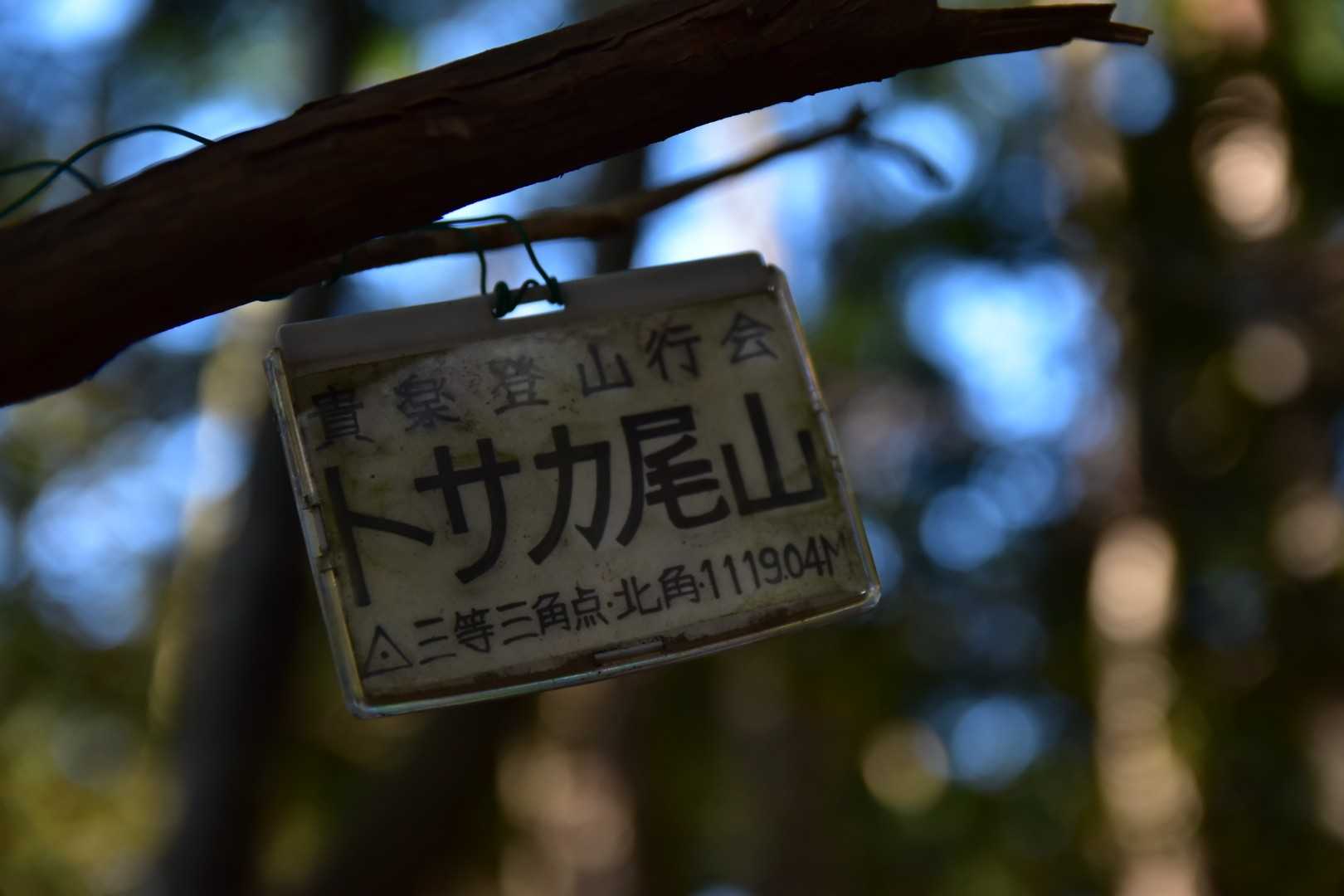 トサカ尾山山頂