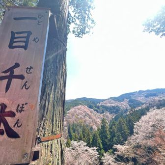 ベスポジ(σ´∀`)σｹﾞｯﾂ!!