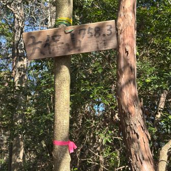 大保山頂上。眺望無し😣