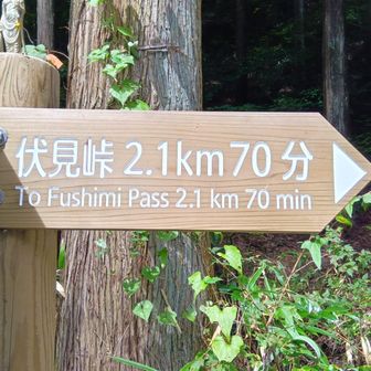 香楠道を降りて来て、伏見峠まで70分✊