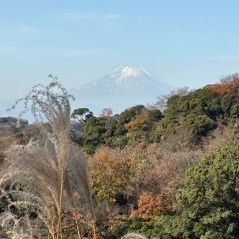 展望台から富士山🗻が見えました。