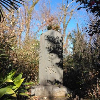 八国山とはこの山域一帯をさしていましたので、山頂マークはどこかと思ったら、この「将軍塚」でした。